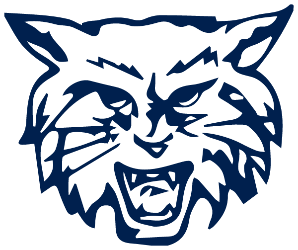 Dallastown Area Middle School Logo