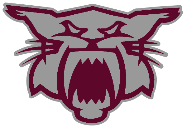 Stevenson Middle School Logo