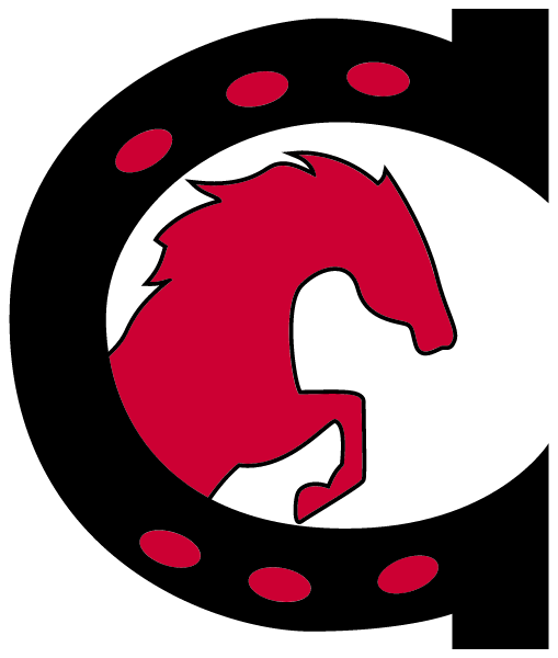 Chiddix Junior High School Logo