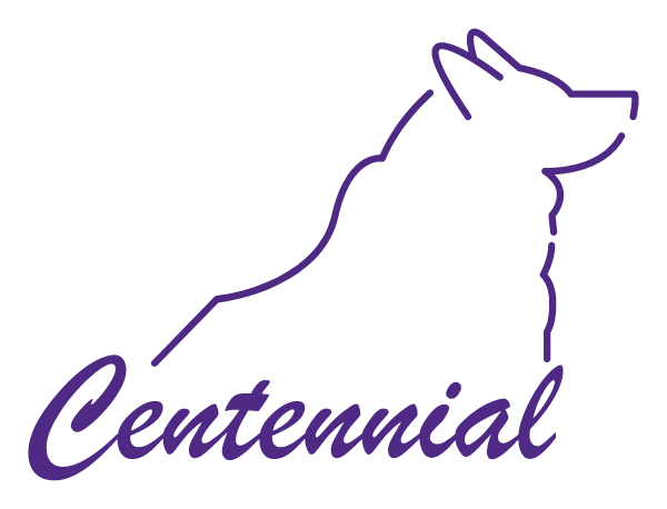 Centennial Middle School Logo