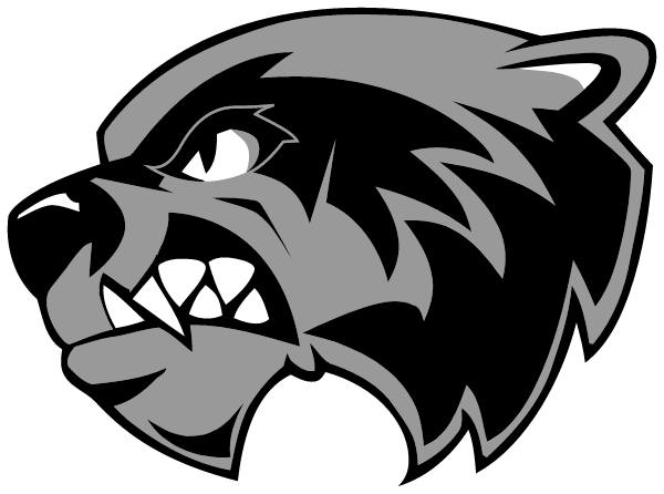 Steam Middle School Logo