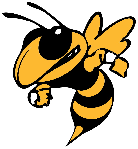 Touch Of Gold Booster Club Logo