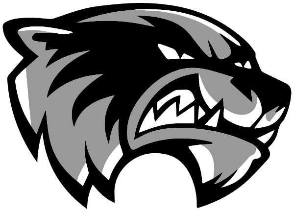 Skyview High School Logo