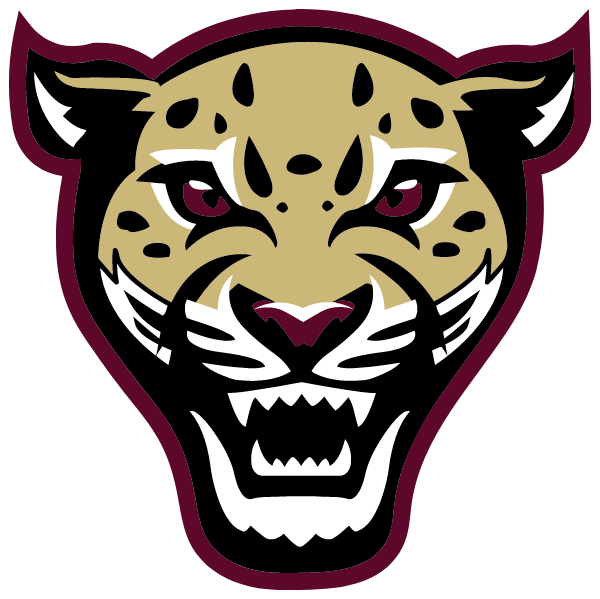 Mattei  Middle School Logo