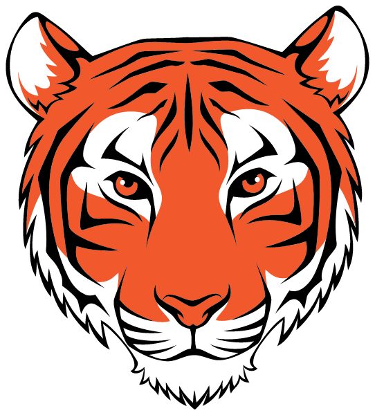 Distinctive College Prep Sideline Store Tigers (HARPER WOODS, MICHIGAN) Spirit Apparel & Accessories Store