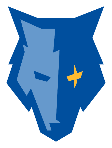 Imagine Excellence Academy Logo