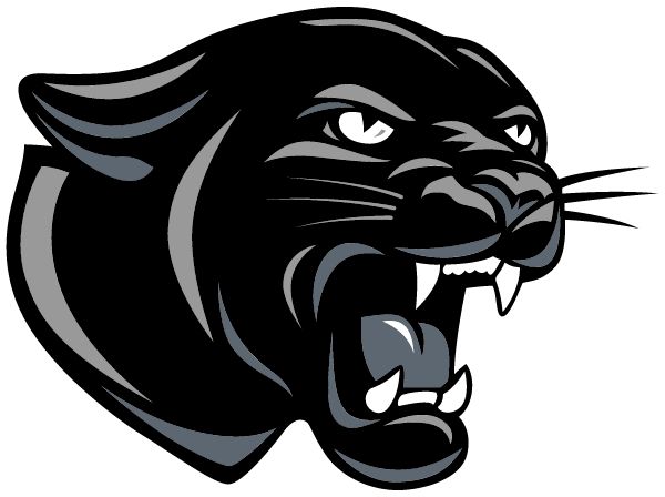 Blue River Panthers Panthers (David City, Nebraska) Spirit Apparel & Accessories Store