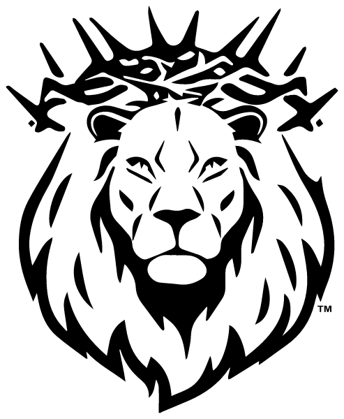 Link Year Prep School Logo