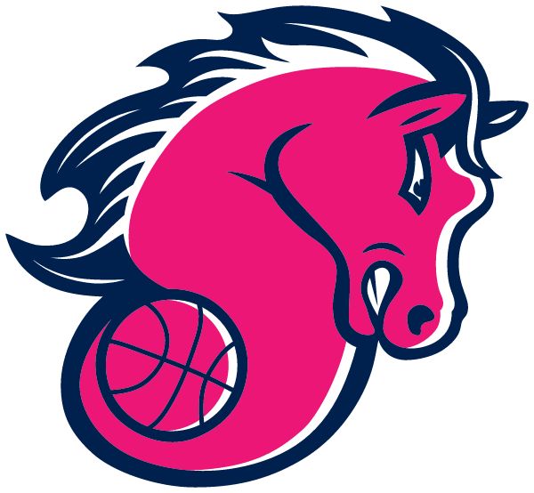 Stonewall Ponies Basketball Sideline Store