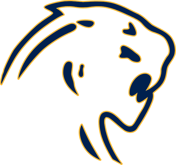 Dewitt Junior Panthers Logo