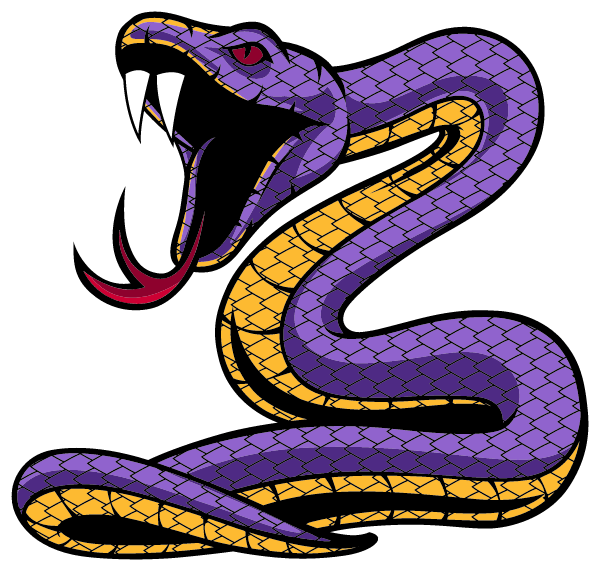 Mambas Basketball Logo