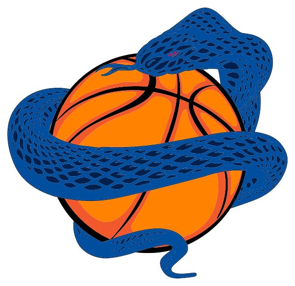 Vipers Basketball Youth Foundation Sideline Store VBYF (EAST STROUDSBURG, Pennsylvania) Spirit Apparel & Accessories Store