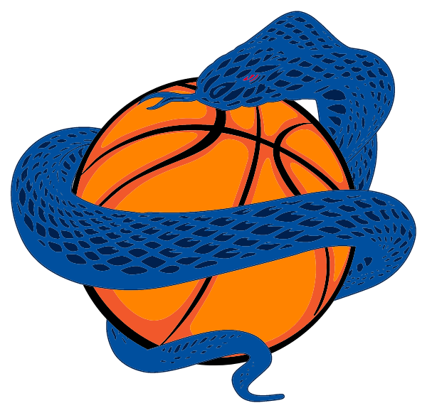 Vipers Basketball Youth Foundation Logo