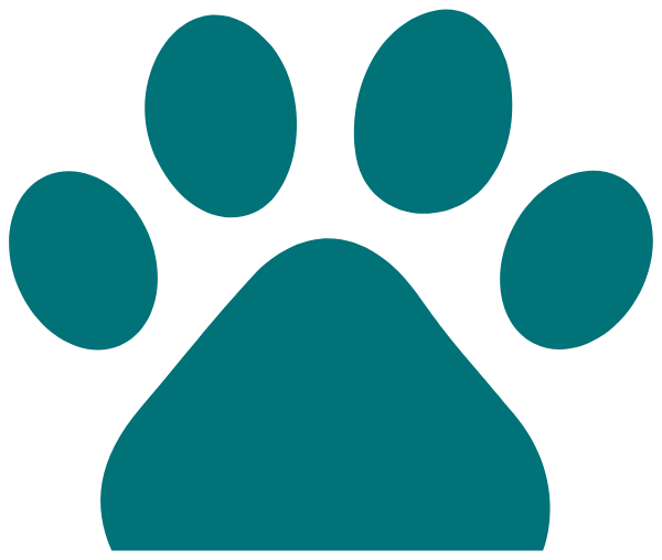 Vida Charter School Logo