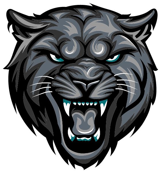 Credence Athletics Panthers (Trenton, New Jersey) Spirit Apparel & Accessories Store