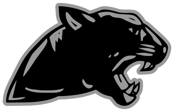 Ledford Middle School Sideline Store Panthers (THOMASVILLE, North Carolina) Spirit Apparel & Accessories Store