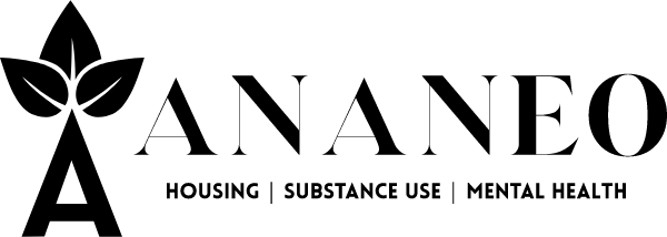Ananeo Homes LLC Logo