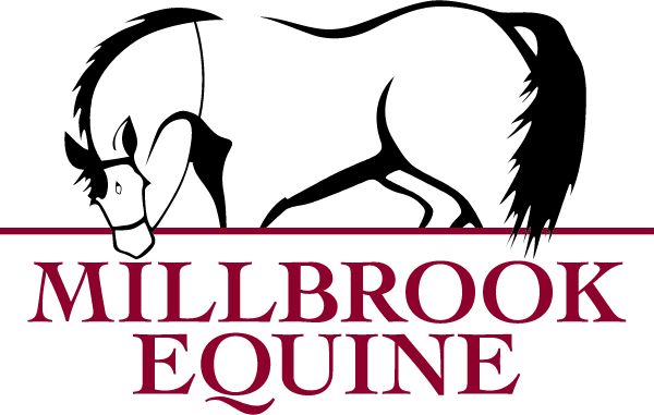 Millbrook Equine Veterinary Clinic