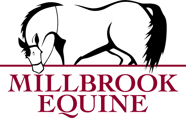 Millbrook Equine Veterinary Clinic Logo