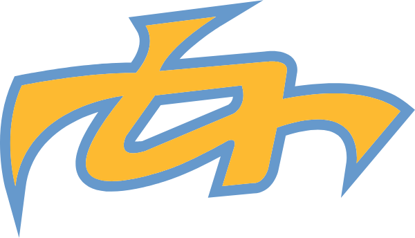 Team Final Logo