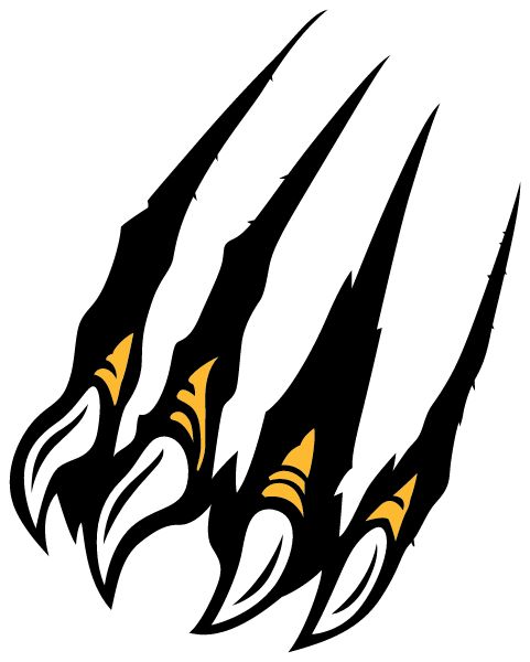 Pulaski International School of Chicago Sabers (Chicago, Illinois) Spirit Apparel & Accessories Store