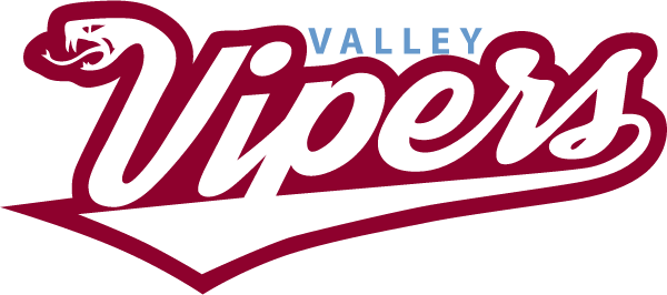 Valley Vipers Logo