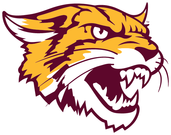 Bethune Cookman Logo