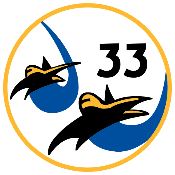 Afa Cadet Squadron 33 Logo