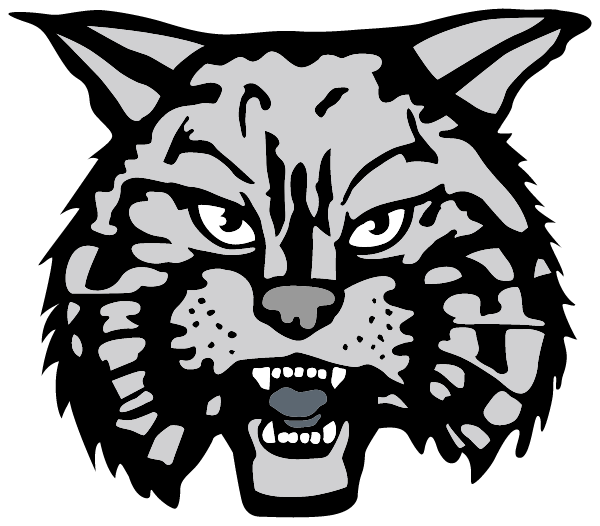 Armonk Baseball League Logo