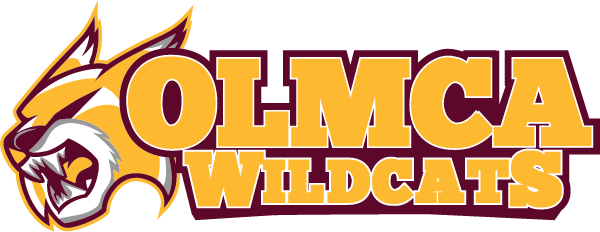 Our Lady of Mount Carmel Ademy Logo