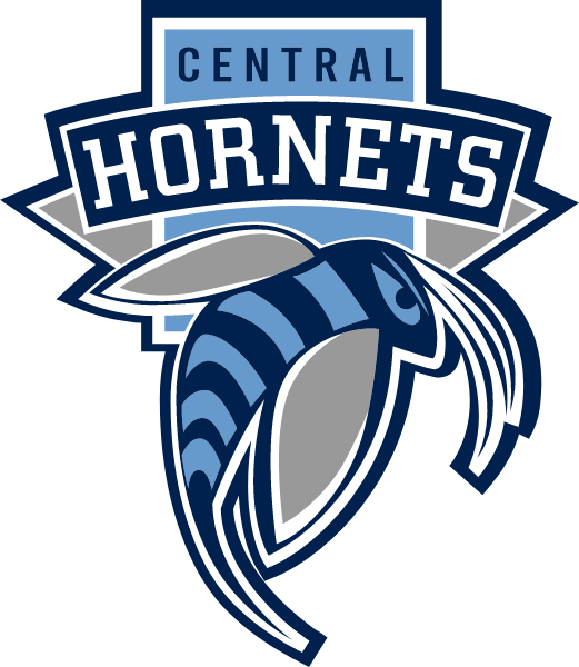 Central School Logo