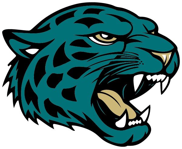Virginia Jags Youth Football Jaguars (SPOTSYLVANIA, Virginia) Spirit Apparel & Accessories Store