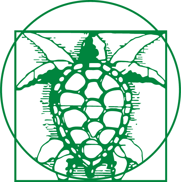 Turtle River Montessori Logo