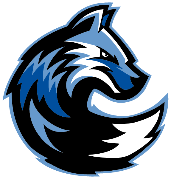 NORTH CENTRAL MICHIGAN COLLEGE Logo