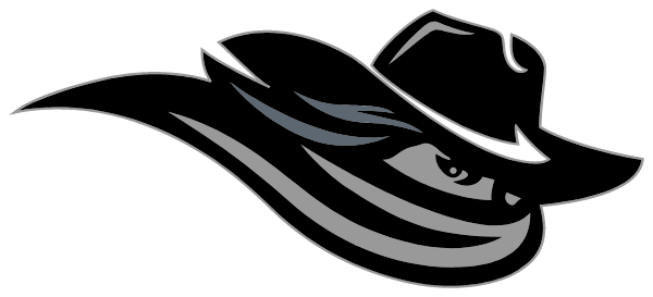 Lady Bandits Logo