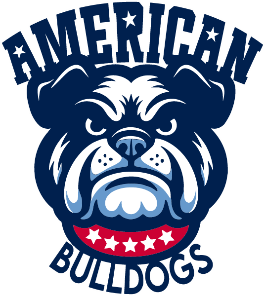 Brighton Youth Baseball Logo