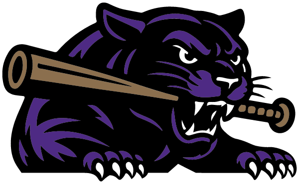 Brighton Youth Baseball Logo