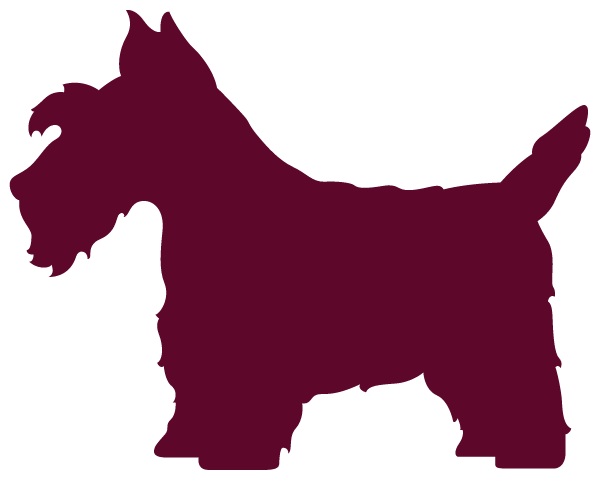 Argyle Central High School Logo