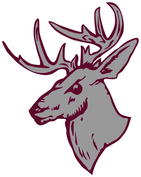 BUCKFIELD SENIOR HIGH SCHOOL Sideline Store Bucks (BUCKFIELD, Maine) Spirit Apparel & Accessories Store