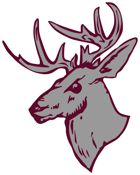BUCKFIELD SENIOR HIGH SCHOOL Logo