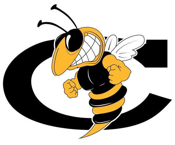 COOK HIGH SCHOOL Sideline Store Hornets (ADEL, GEORGIA) Spirit Apparel & Accessories Store