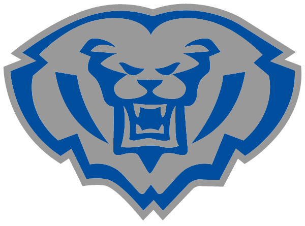 HAMILTON SOUTHEASTERN HIGH SCHOOL Logo