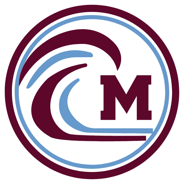 MINDEN HIGH SCHOOL Logo