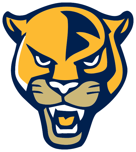 STORM KING SCHOOL Logo