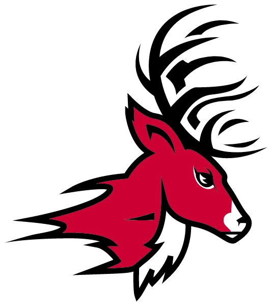 BONANZA HIGH SCHOOL Logo