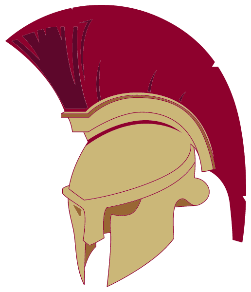 NORTH SCHUYLKILL HIGH SCHOOL Logo