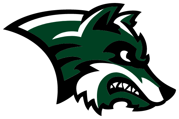 IKM-MANNING HIGH SCHOOL Logo