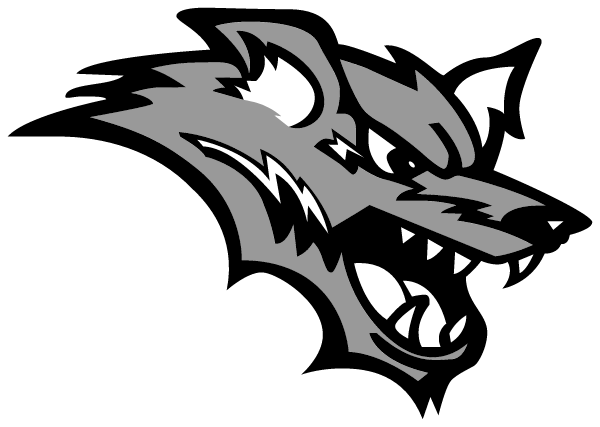 CONIFER HIGH SCHOOL Logo