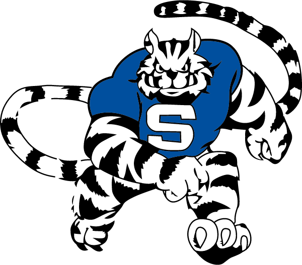 STONE HIGH SCHOOL Logo