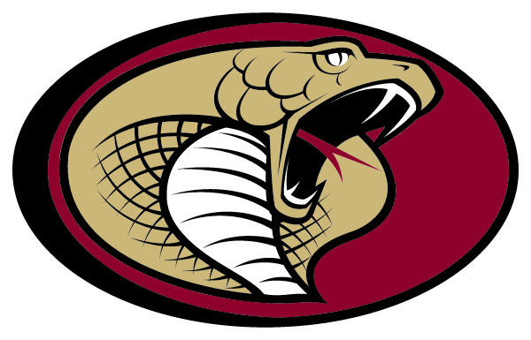 HUDSON HIGH SCHOOL Logo